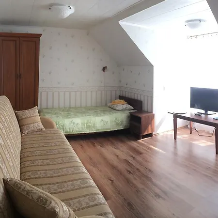 Nurmeveski Guest house