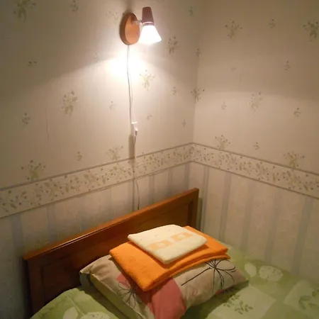 Nurmeveski Guest house *